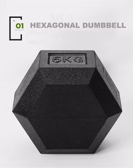 Professional Wholesale Gym Weights Fitness Equipment Crossfit Rubber Coated Hex Dumbbell